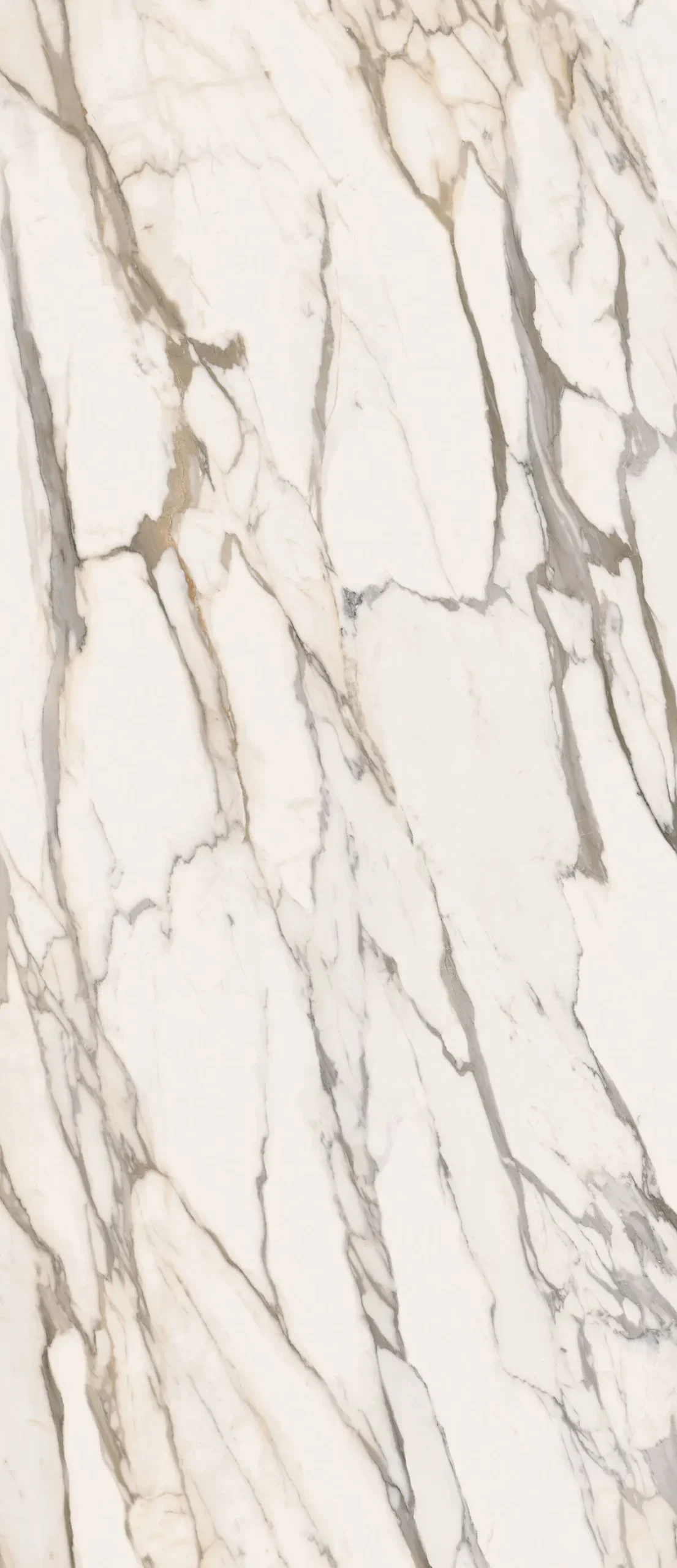 Гранитогрес Calacatta Gold Glossy 120х120см - AVE Ceramica