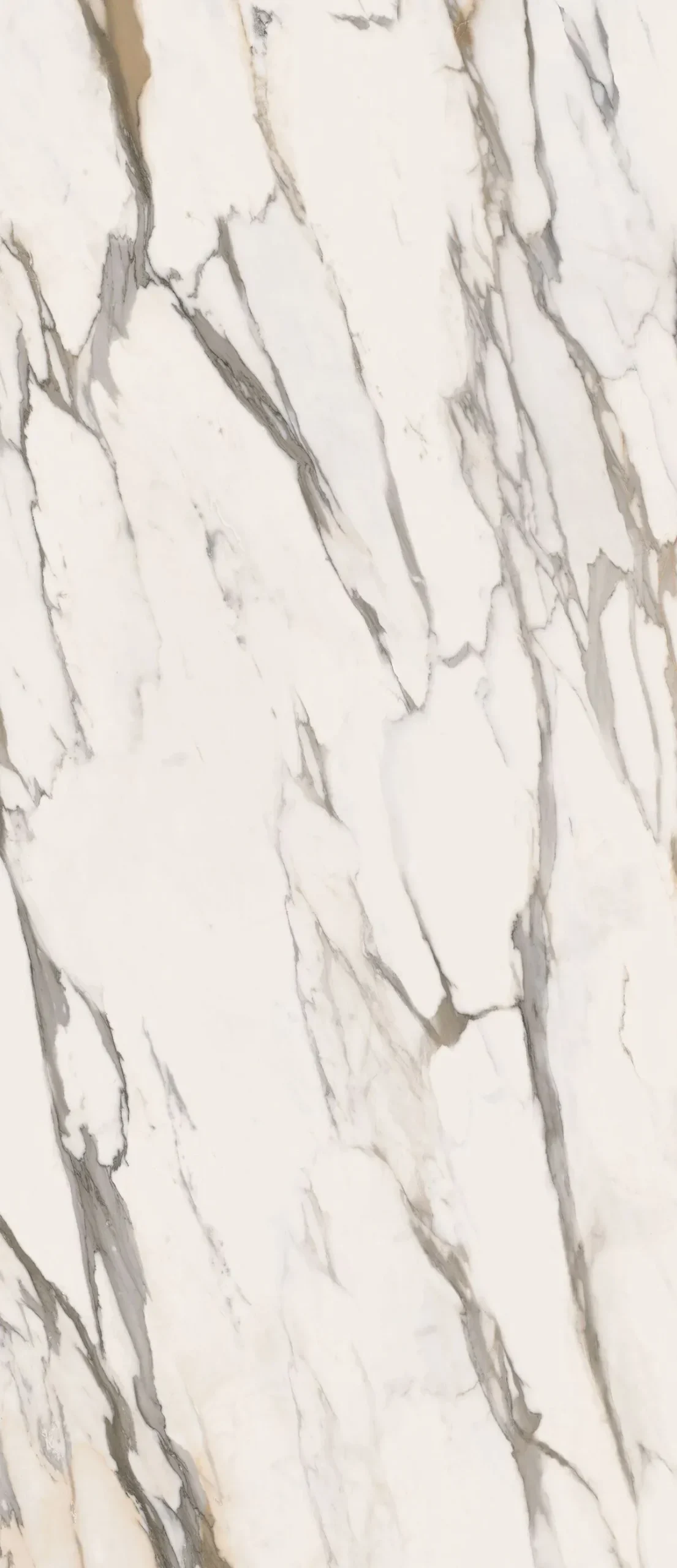 Гранитогрес Calacatta Gold Glossy Ret 60х120см - AVE Ceramica