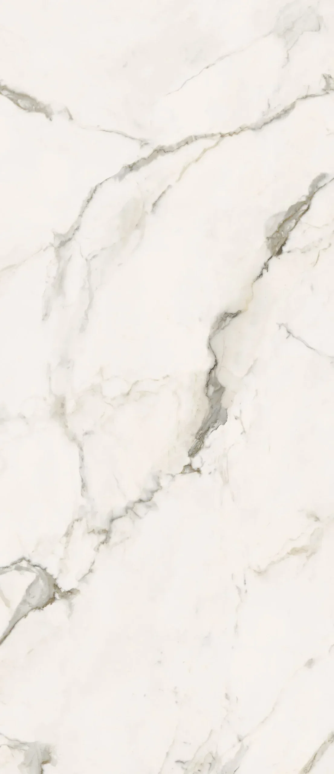 Гранитогрес Calacatta Light Glossy 120х278см - AVE Ceramica
