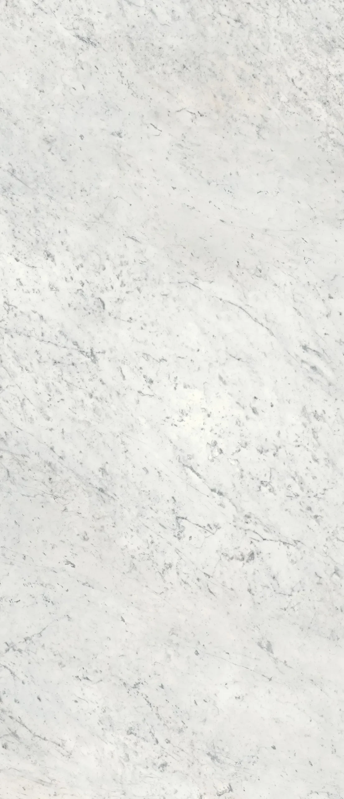 Гранитогрес Carrara C Glossy 120х278см - AVE Ceramica