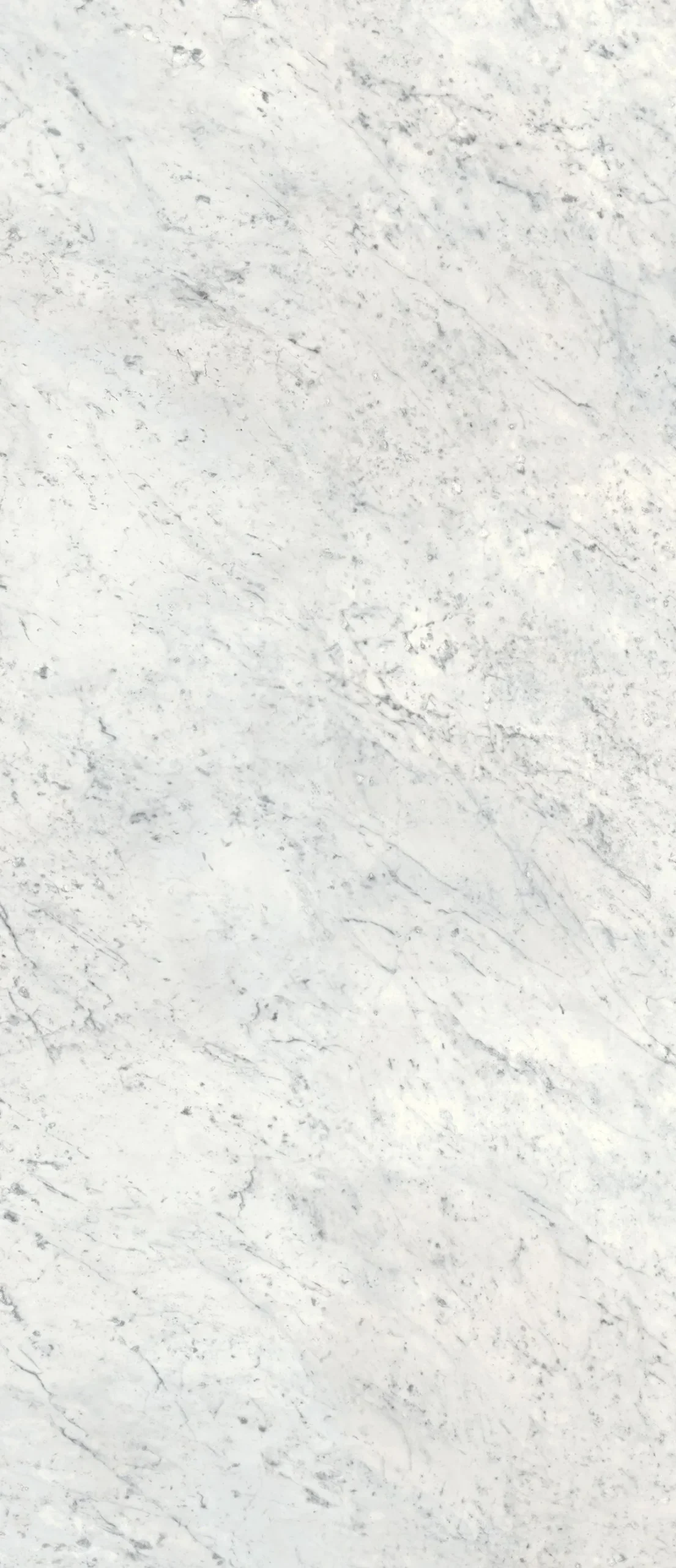 Гранитогрес Carrara C Glossy Ret 60х120см - AVE Ceramica