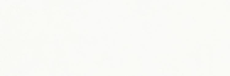 Фаянсови плочки Mixed  Bianco Rt 40х120 - AVE Ceramica