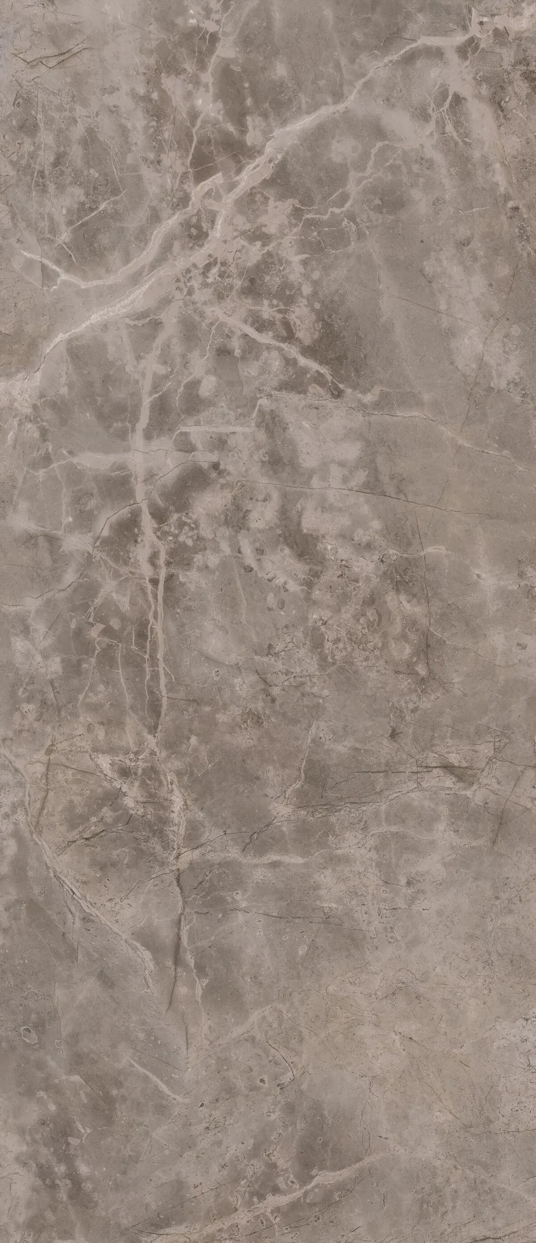 Гранитогрес Fior di Bosco 160х320см - AVE Ceramica