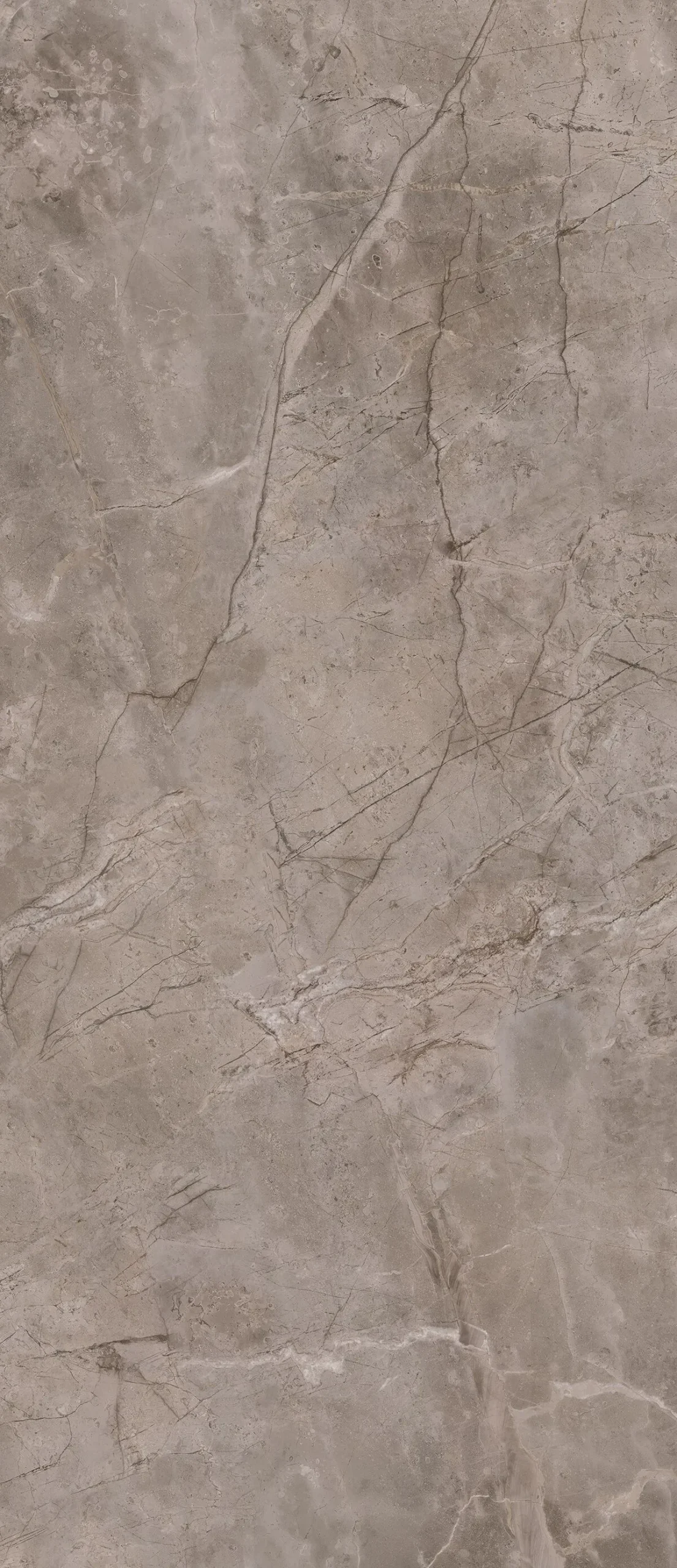 Гранитогрес Fior di Bosco Glossy 120х278см - AVE Ceramica