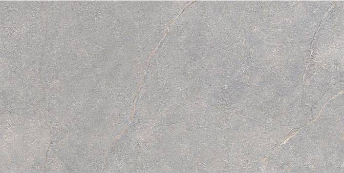 Гранитогрес Anthology Gray Worn 30х60 см - AVE Ceramica