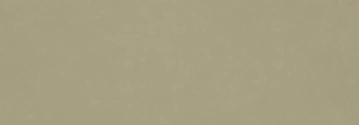 Плочки за баня Ragno Vida Verde Rett 30х90 - AVE Ceramica